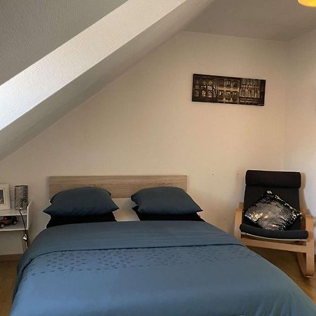 Joli Appartement Avec Place De Parking Prive Κολμάρ Εξωτερικό φωτογραφία