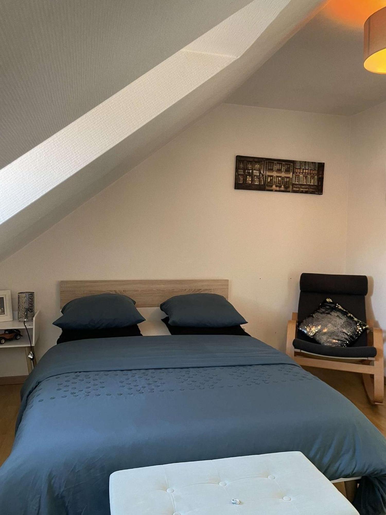 Joli Appartement Avec Place De Parking Prive Κολμάρ Εξωτερικό φωτογραφία